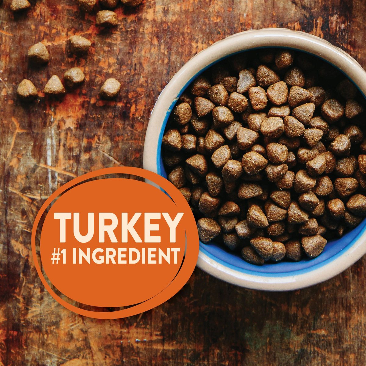 Wellness CORE Grain Free Reduced Fat Turkey Chicken Recipe Dry Dog Food