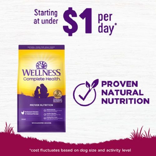 Wellness turkey and oatmeal sale