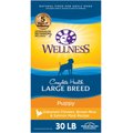 Wellness Large Breed Complete Health Puppy Deboned Chicken, Brown Rice & Salmon Meal Recipe Dry Dog Food, 30-lb bag