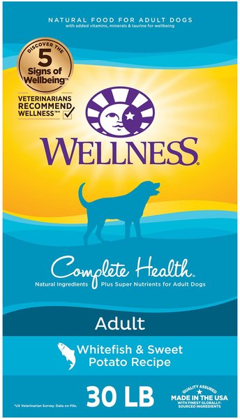 Dog food wellness best sale