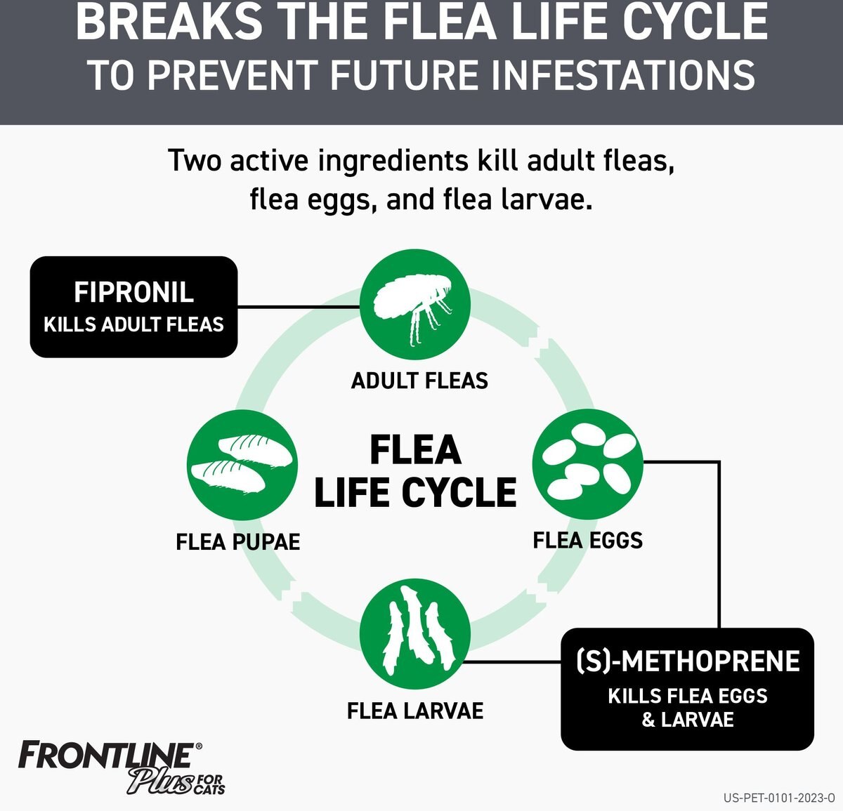FRONTLINE PLUS Flea & Tick Spot Treatment for Cats, over 1.5 lbs, 6