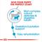 Show in main carousel: Royal Canin Size Health Nutrition Small Starter Mother & Babydog Dry Dog Food, 2-lb bag slide 5 of 13