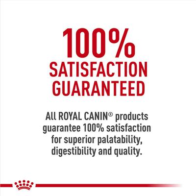 Show full view: Royal Canin Size Health Nutrition Small Starter Mother & Babydog Dry Dog Food, 2-lb bag slide 10 of 13