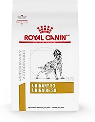 Royal Canin Veterinary Diet Adult Urinary SO Dry Dog Food, 25.3-lb bag
