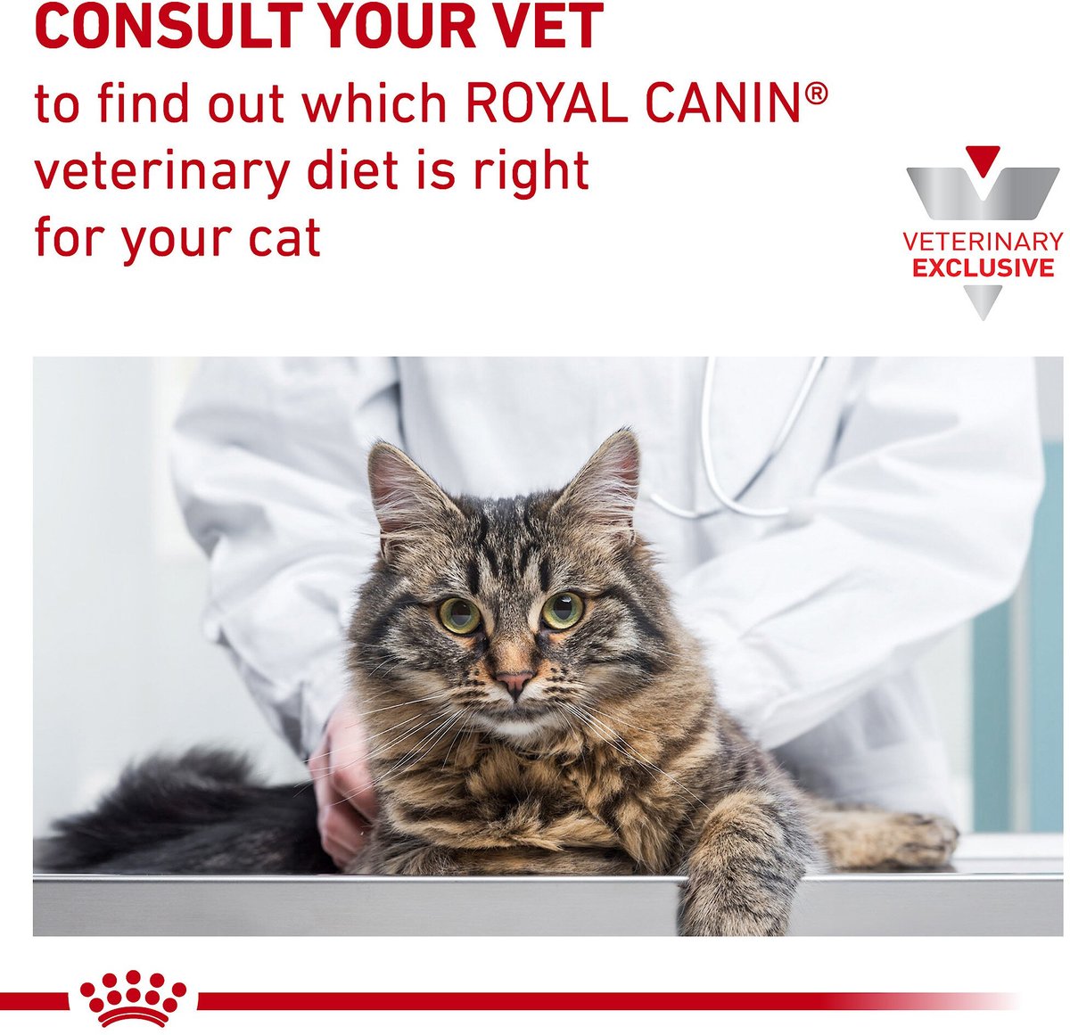 Royal canin selected protein hotsell pv feline