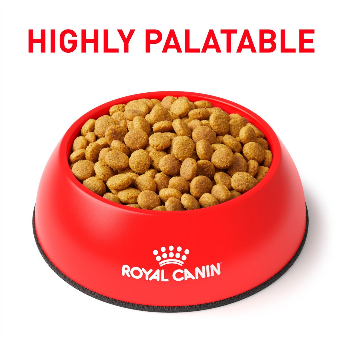 Chewy royal canin dry cat outlet food