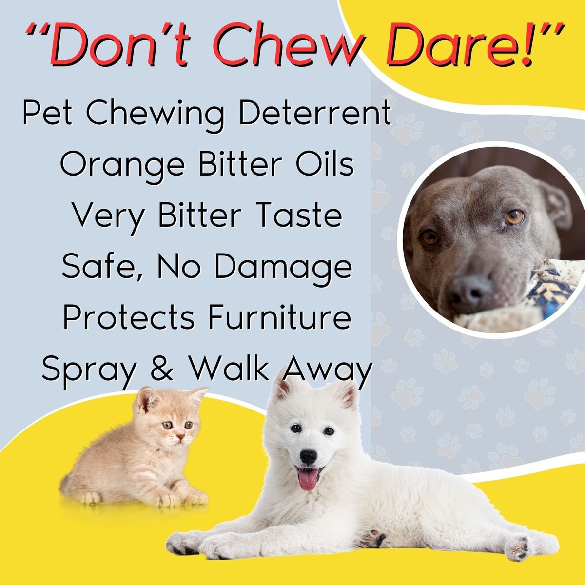 ZONE PROTECTS Bad Dog Don't Chew Dare Deterrent Mist Spray, 4oz bottle