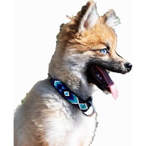 Heka Leather Standard Dog Collar, Azulik, Small: 7.5 to 10-in neck, 1/2-in wide