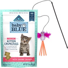 Blue Buffalo Kitty Cravings Shrimp Crunchy Cat Treats