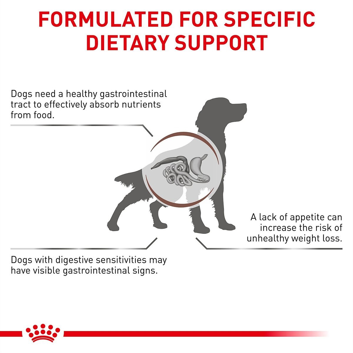 Zooplus royal canin gastro intestinal sale