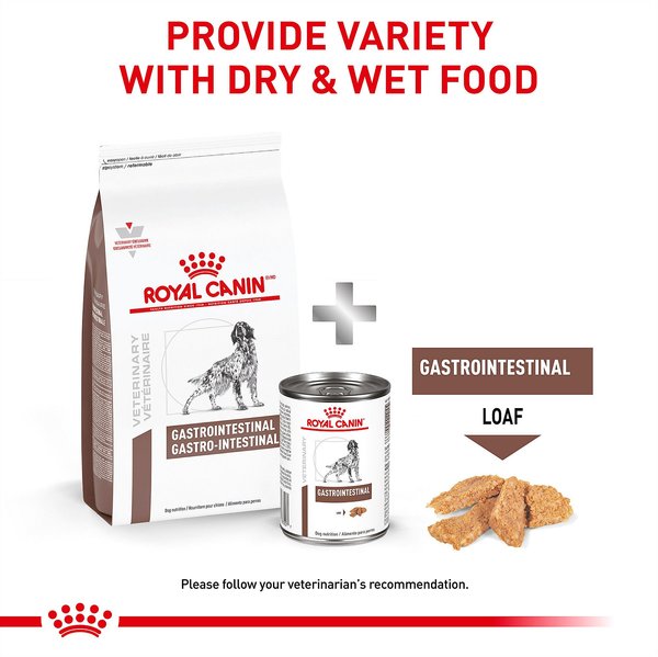 Royal Canin Brandclub Royal Canin Veterinary Diet Adult Gastrointestinal Dry Dog Food