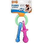 Nylabone Puppy Chew Teething Pacifier Dog Toy, Small