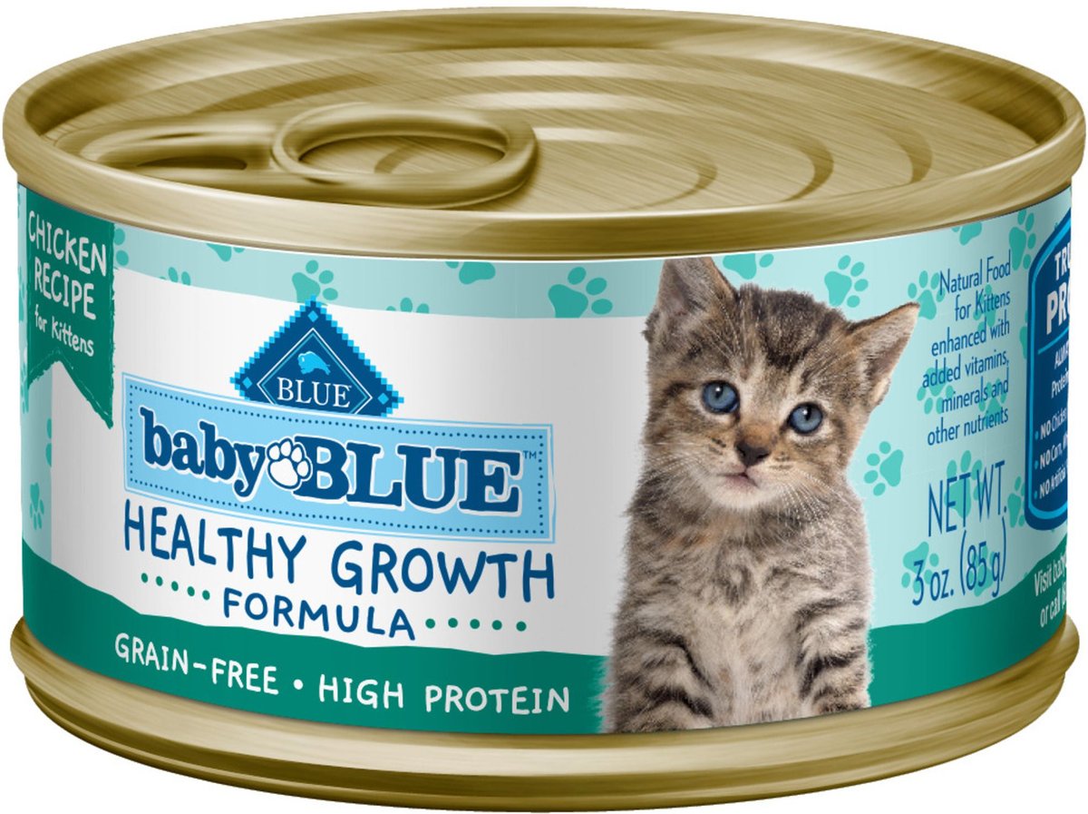 Healthiest kitten hotsell wet food