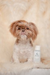 Rowan Hair Wash Dog Shampoo, Coconut Scent, 12-oz bottle slide 2 of 6