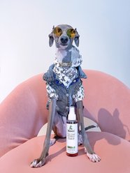 Rowan Coat Refresh Dog Deodorizing Spray, Coconut Scent, 4-oz bottle slide 2 of 6