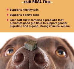 GoodGood Soft Chew Skin & Coat Supplement for Dogs, 90 count slide 2 of 8