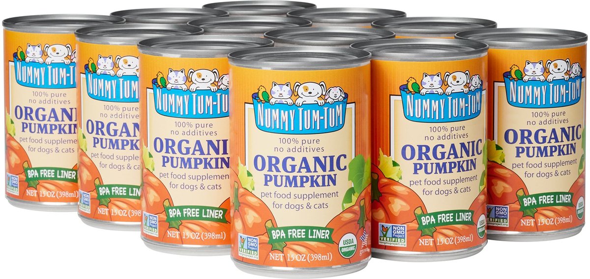 Nummy tum tum clearance pumpkin