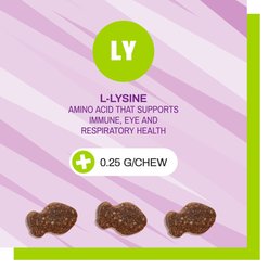 Pet Naturals L-Lysine Cat Chews, 3.17-oz, 60 count slide 2 of 5