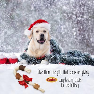 Show full view: Cadet Premium Grade Holiday Cane Chicken & Sweet Potato Beefhide Kabob Dog Treats, 2 count slide 5 of 9