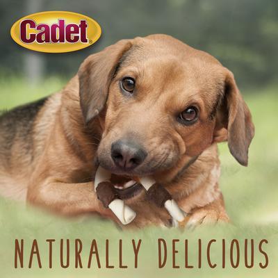 Show full view: Cadet Premium Grade Holiday Cane Chicken & Sweet Potato Beefhide Kabob Dog Treats, 2 count slide 6 of 9