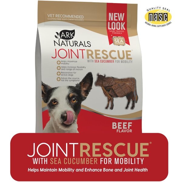Petralyte Beef Flavored Electrolyte & Joint Supplement for Dogs, 16 count
