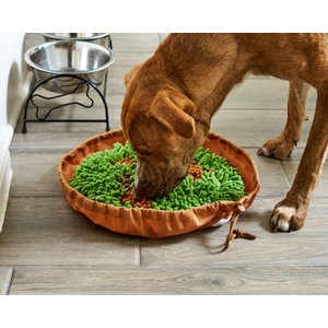 Pet Parents Forager Snuffle Mat & Slow Feeder Dog Bowl, Meadow Natural