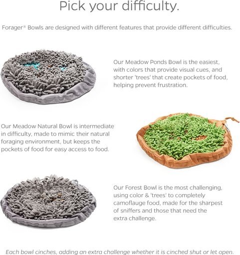 Pet Parents Forager Snuffle Mat & Slow Feeder Dog Bowl, Forest Grey