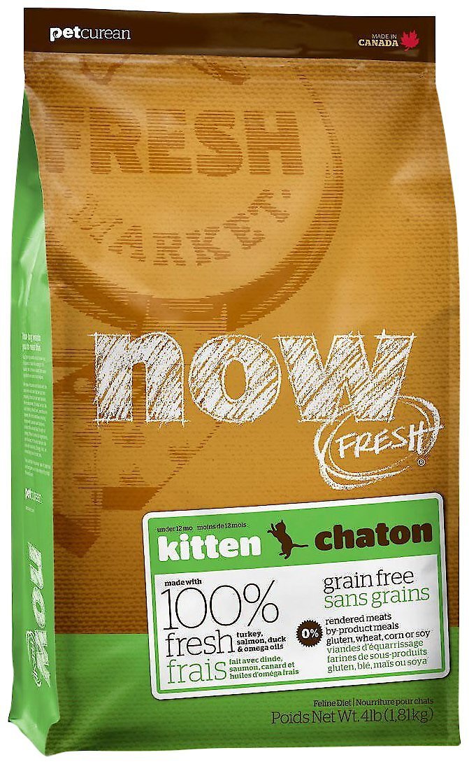 NOW FRESH GrainFree Kitten Formula Dry Cat Food Customer Questions