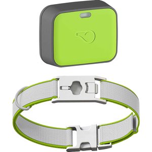 Whistle Go Explore Dog GPS Tracker, Green +  Twist & Go Dog Bark Collar, See-Me Green, Large/X-large