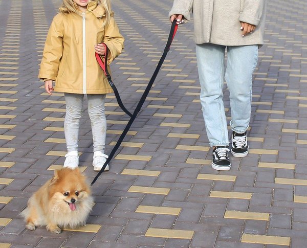 love the leash dog walking