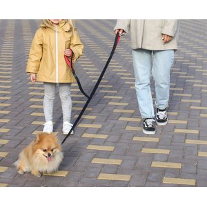 The Love Leash Kid-Friendly Dog Leash, Large: 6-ft long