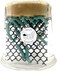Oregon Silkworms Small Live Hornworms, 25 count slide 2 of 9