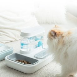 Hanamya 2-in-1 Dog & Cat Feeder Set with Automatic Water Dispenser slide 2 of 6