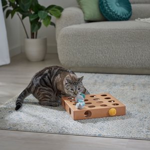 Frisco Interactive Wooden Cat Toy Box with Catnip