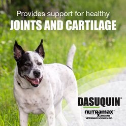Nutramax Dasuquin Hip & Joint Chewable Tablets Joint Supplement for Large Dogs, 150 count slide 2 of 9