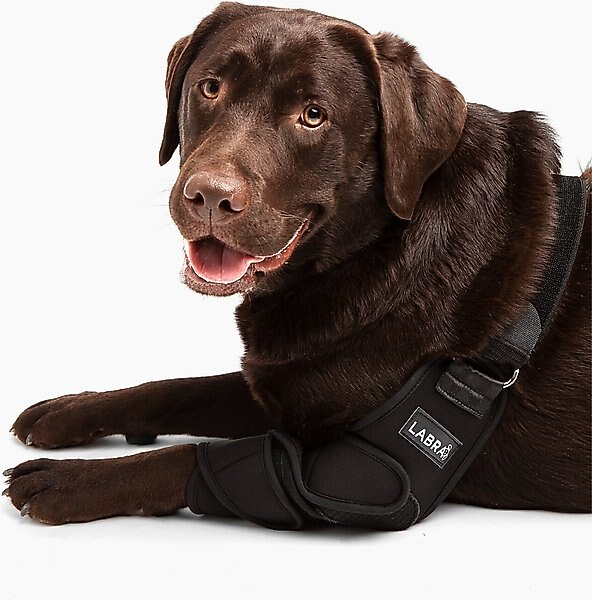 Labra Canine Shoulder Elbow Brace Left Leg Dog Wrap, Small slide 1 of 9
