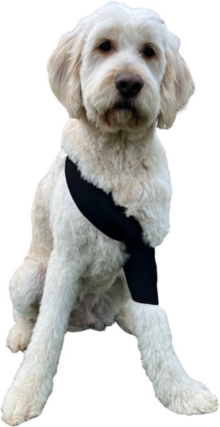Dog Shoulder Brace Wrap
