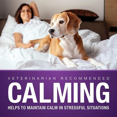Show full view: VetIQ Calming Soft Chew Calming Supplement for Dogs, 90 count slide 5 of 11