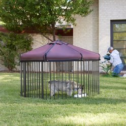Frisco Outdoor Galvanized Steel 8-Panel Configurable Gate and Playpen with Oxford Roof, 30-in