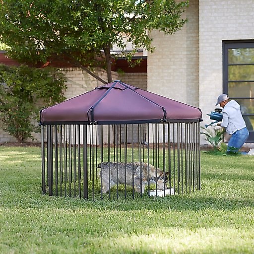 Frisco Outdoor Galvanized Steel 8-Panel Configurable Gate and Playpen with Oxford Roof, 30-in