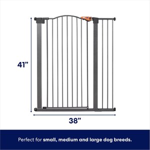 Frisco Outdoor Steel Arch Extra Tall Auto-Close Dog Gate, Black, 41-in