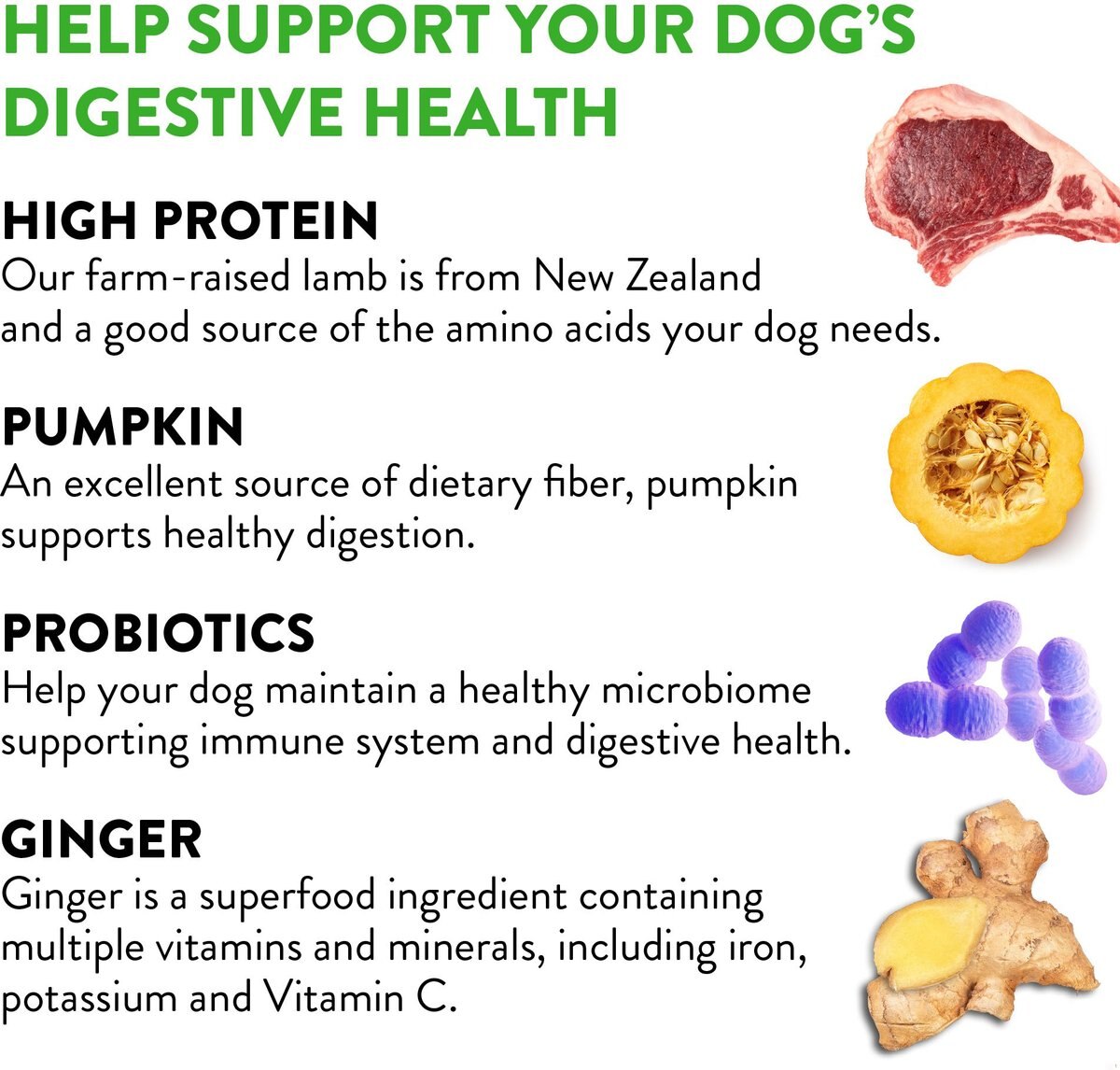 DOGSWELL Gut Health Lamb Recipe Jerky Dog Treats, 10oz bag