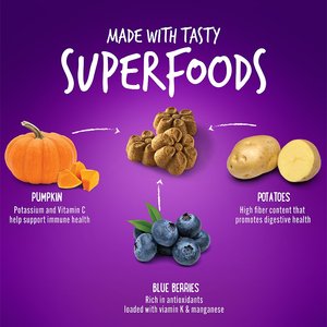 Fruitables Pumpkin & Blueberry Flavor Dog Treats, 7-oz bag
