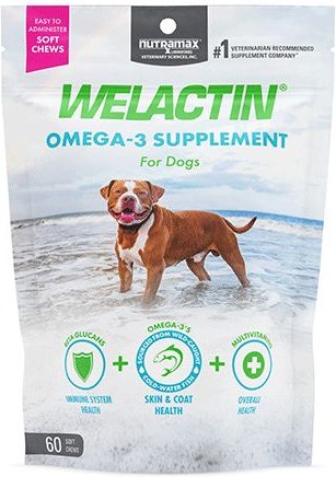 Nutramax Welactin Soft Chews Daily Omega-3 Supplement for Dogs, Skin & Coat Health Plus Overall Health, 60 count slide 1 of 10
