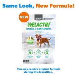 Nutramax Welactin Daily Omega-3 Soft Chews Skin & Coat Supplement for Dogs, 60 count slide 2 of 9