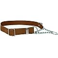 Euro-Dog Modern Leather Martingale Dog Collar, Earth Brown, X-Small: 9 to 12-in neck