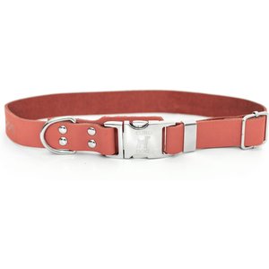 Euro-Dog Modern Leather Quick Release Dog Collar, Coral Reef, Small: 10 to 15-in neck