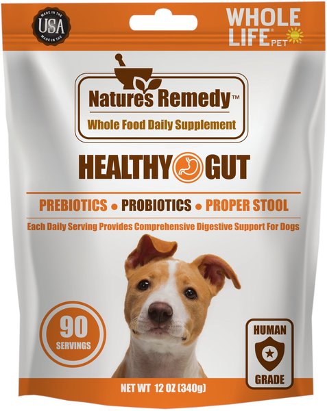 Whole Life Nature's Remedy Digestive Health Whole Food Dog Supplement, 12-oz bag slide 1 of 6