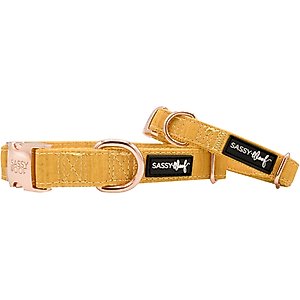 Sassy Woof Dog Collar, Sunflower Fields, Large