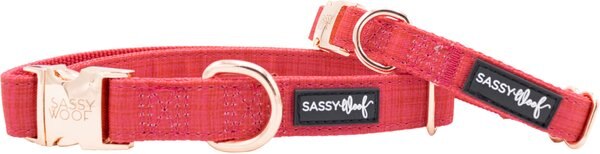 Sassy Woof Dog Collar, Merlot, Large slide 1 of 3